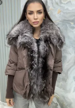 Paltoane si Geci imagine