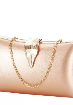 Geanta clutch sampanie simplu BME-600 05 imagine