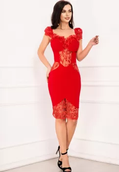 Rochie de seara Olivia rosie cambrata eleganta cu dantela si paiete imagine