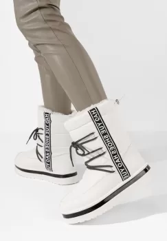 Apreschiuri dama imagine