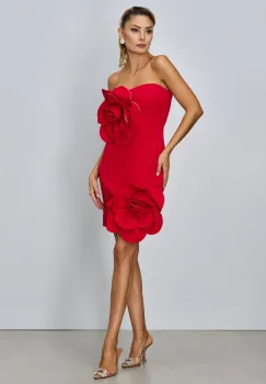 Rochie de ocazie Aime Rosie  imagine